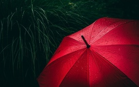 Big red umbrella in the grass in the rain