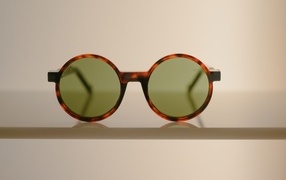 Brown frame sunglasses