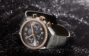 Expensive women's watches Omega, Speed Ladies
