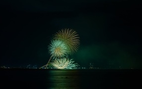 View from the water to the beautiful fireworks sparks