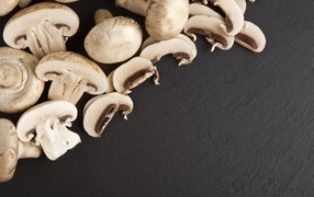 Appetizing fresh champignons on a gray table