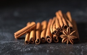 Cinnamon with star anise on gray table
