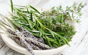 Ароматные пряные травы на столе