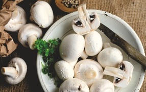 Fresh champignons on a plate on the table