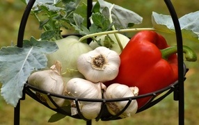 Garlic, sweet pepper and root vegetables in a basket