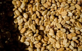 Зеленые ароматные зерна черного кофе