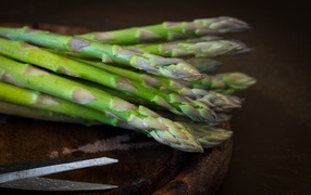 Green asparagus stalks on the table