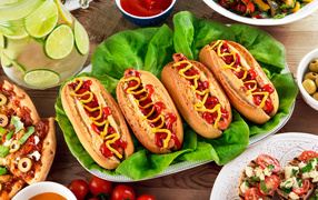 Hot dogs on a plate with lettuce