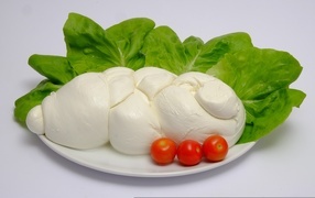 Сыр моцарелла на тарелке с листьями салата и помидорами