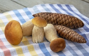 Белые грибы с шишками на столе