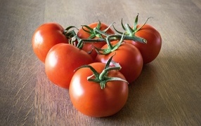 Спелые вкусные круглые красные помидоры