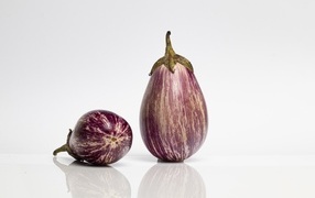 Two eggplants on a gray background