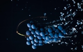 Гроздь синего винограда в брызгах воды на черном фоне