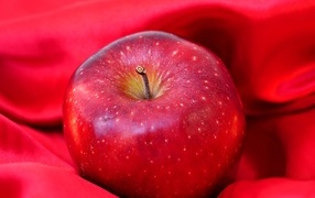 Большое красное яблоко лежит на ткани