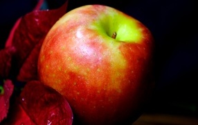 Аппетитное красное яблоко на черном фоне