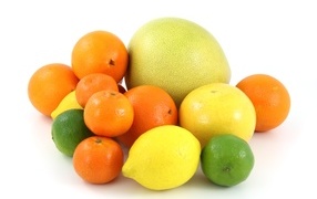 Красивые спелые цитрусовые фрукты на белом фоне