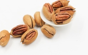 Большой орех пекан на белом фоне