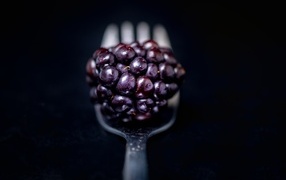 Ягода ежевики на вилке на черном фоне