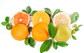 Цитрусовые фрукты с зелеными листьями на белом фоне