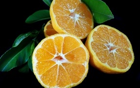 Половинки мандарина с зелеными листьями на черном фоне