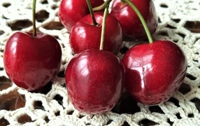 Large ripe cherries on the table