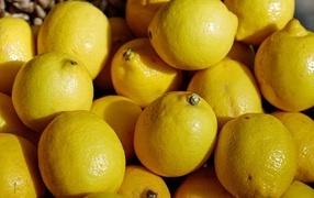 Большие спелые крупные желтые лимоны