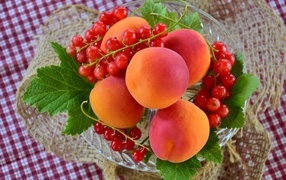 Большие сладкие абрикосы с красной смородиной