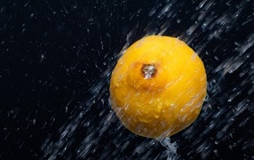 Лимон в брызгах воды на черном фоне