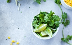 Lime with parsley sprigs on a gray table