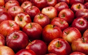 Много спелых красных яблок крупным планом