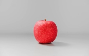 One red apple on a gray background