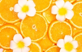 Кружочки апельсина с цветами плюмерии крупным планом