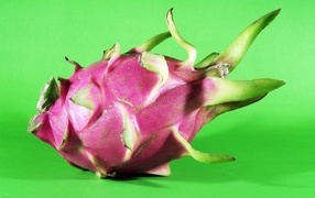 Фрукт питайя на зеленом фоне