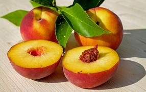 Сливы лежат на деревянном столе летом