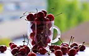 Красные черешни в стеклянной чашке 