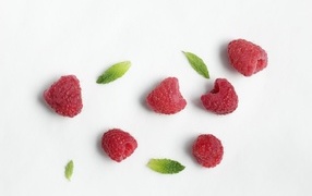 Red raspberries with green leaves on white background