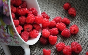 Red ripe raspberries in a cup on the table