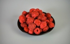Ripe red raspberries in a black plate on a gray background