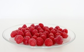 Ripe red raspberries on a large white plate