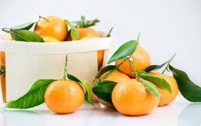 Спелые сладкие мандарины с корзиной на столе