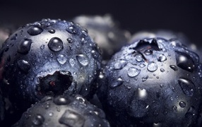 Round blueberries in water drops
