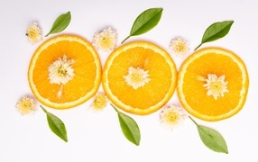 Три кружочка апельсина на белом фоне с цветами и зелеными листьями