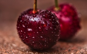 Две красные ягоды черешни в каплях воды