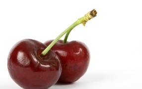 Two red cherries on a white background