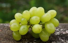 White grapes lie on the pavement