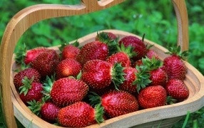 Wooden basket of delicious sweet ripe strawberries