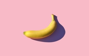 Yellow banana on pink background