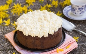 Chocolate cake with white cream