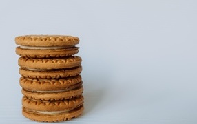 Вкусное сладкое печенье на сером фоне