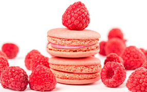 Печенье макарун с малиной на белом фоне